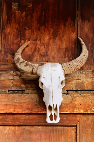 stock image Totem the bull skull