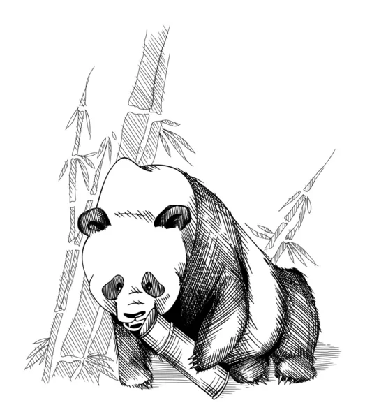 100,000 Bamboo frame and panda Vector Images | Depositphotos