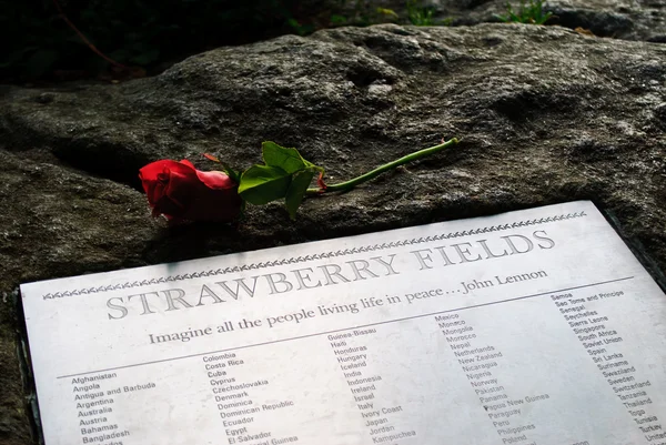 stock image Strawberry fields forever