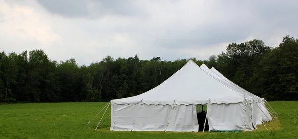 Свадебная палатка в поле — стоковое фото