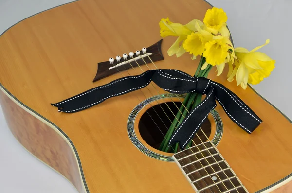 Guitar And Flowers — Stock Photo, Image