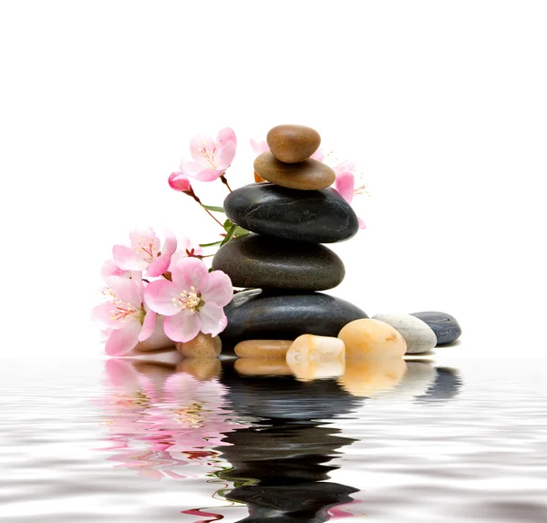 Zen / Kursteine mit Blumen — Stockfoto