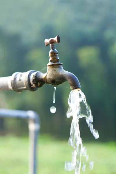 stock image Water faucet