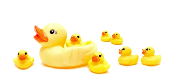 Grupo a patos de borracha amarela isolados sobre fundo branco — Fotografia de Stock