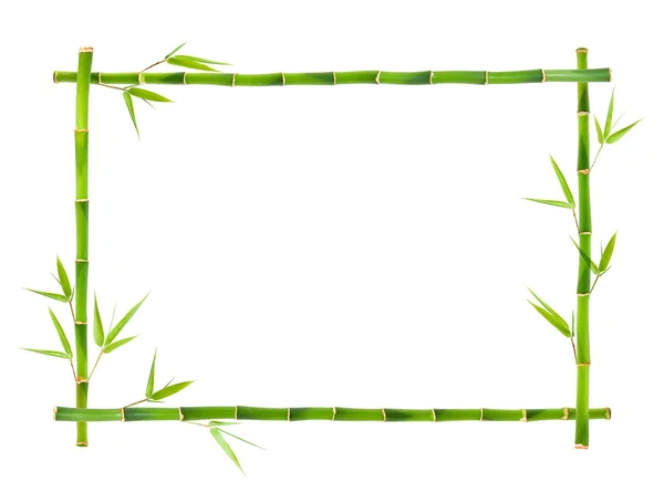 Bamboe frame — Stockfoto