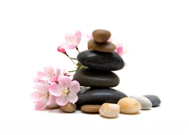 Spa stones with flowers clipart