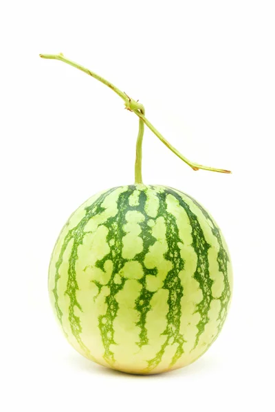 Whole watermelon isolated on white background — Stock Photo, Image