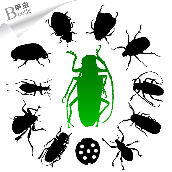 stock vector Vector Silhouettes of insects - beetle