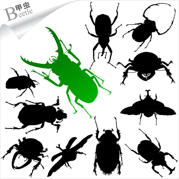 Vector Siluetas de insectos - escarabajos — Vector de stock