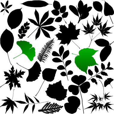 Vector Leaves silhouette isolated on white background clipart