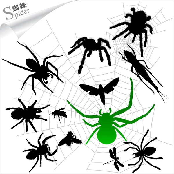 Vector Silhouettes of insects - Spiders — Stock Vector