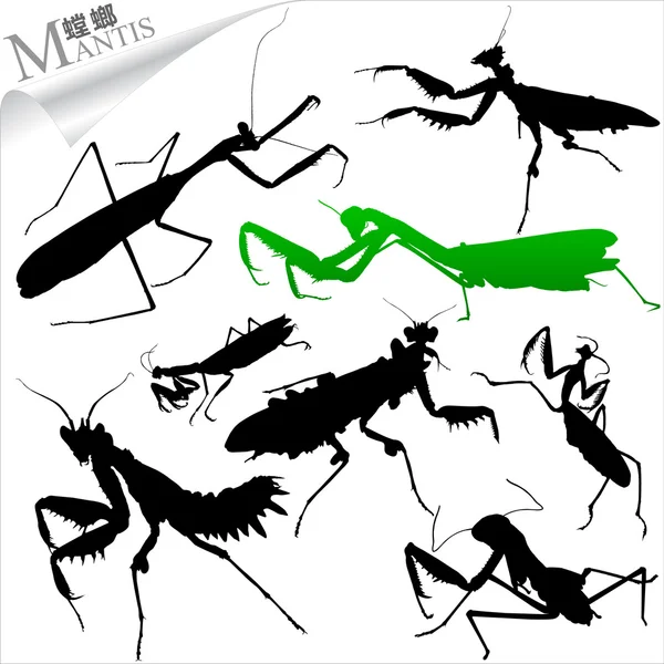 Silhouette vettoriali degli insetti - mantide — Vettoriale Stock
