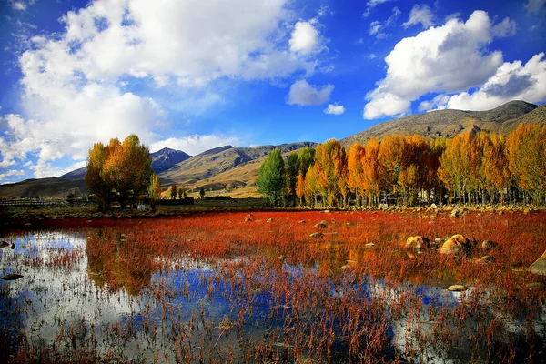아름 다운 전원 풍경 — 스톡 사진