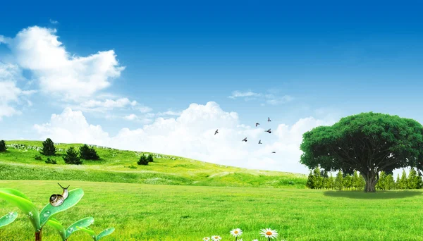 Primavera céu azul nuvem grama pradaria paisagem — Fotografia de Stock