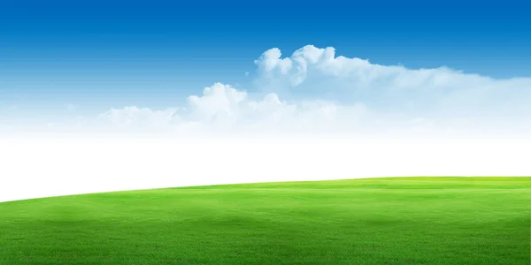 蓝蓝的天空云草景观 — 图库照片