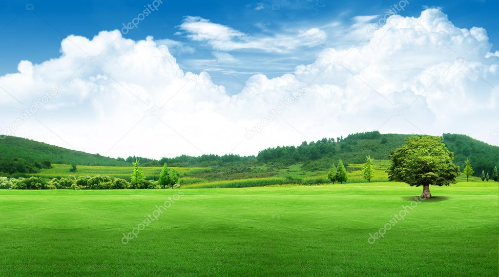 Blue sky cloud grass tree landscape