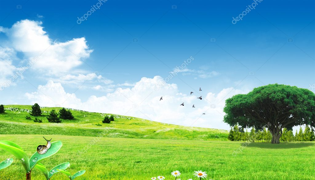 Spring blue sky cloud grass prairie landscape