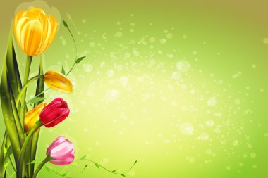 Spring tulip flowers clipart