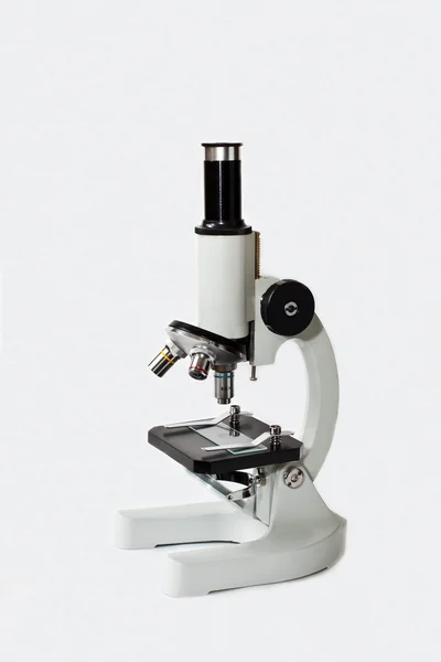 显微镜 图库照片