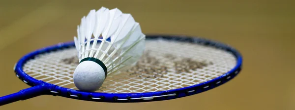 stock image Badminton