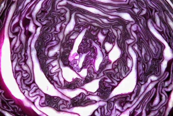 Texture of cabbage — Stock Photo, Image