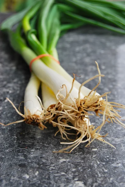 stock image Fresh green onion