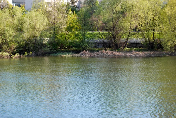 Προβολή ενός ποταμού σε oradea, Ρουμανία — Φωτογραφία Αρχείου