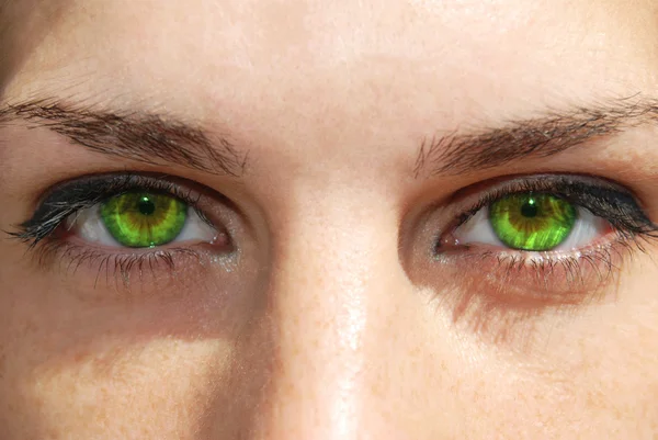 Green eyes — Stock Photo, Image