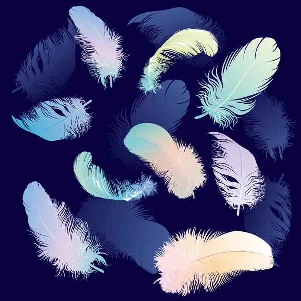 Colored Feather Set — Stock Vector