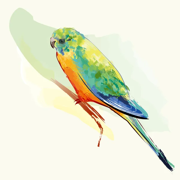 Parakeet Bird with Colorful Feet — стоковый вектор