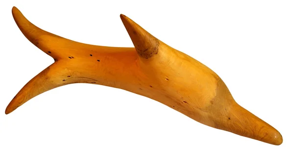 Root in the form of a dolphin. — Stock Photo, Image