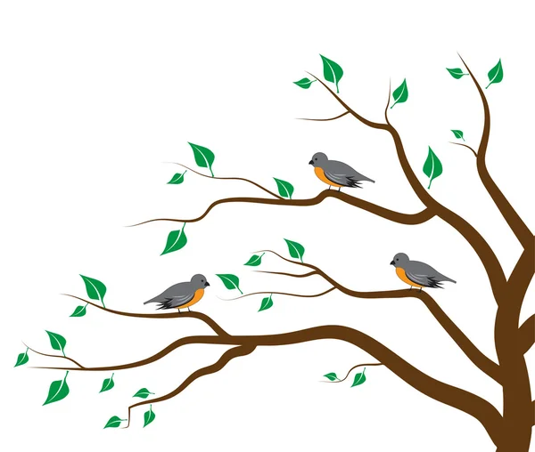 Träd fåglar — Stock vektor