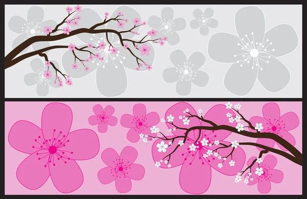 Blossom Banners — Stock Vector