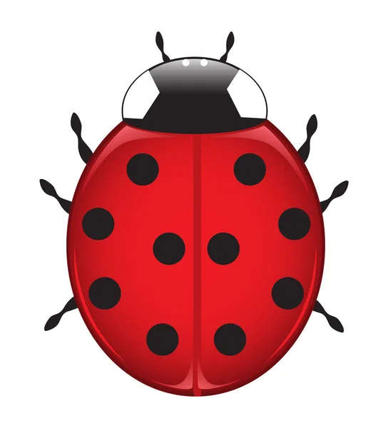 stock vector Ladybug