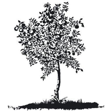 Silhouette of a young apple tree on meadow clipart