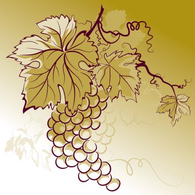 Grapes With Leaves clipart