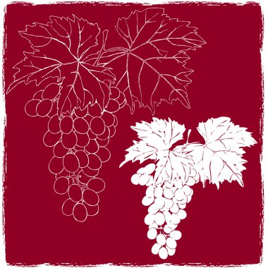 Grapes With Leaves clipart