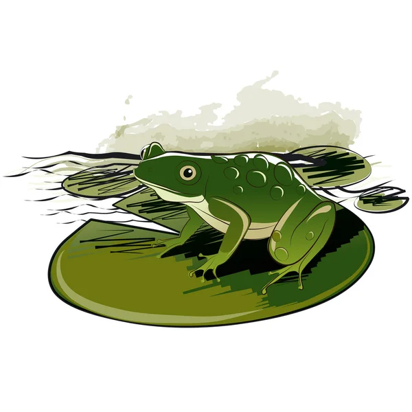 Yaprak üzerinde oturan kurbağa — Stok Vektör