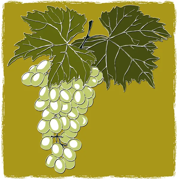 Grapes With Leaves — Stock Vector
