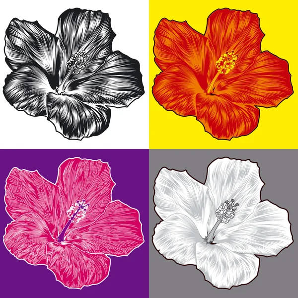 ハイビスカスの花の花のバリエーション — ストックベクタ