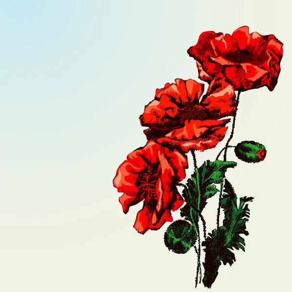 Червоні квіти Мак — стоковий вектор