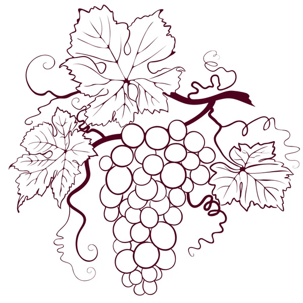 Виноград с листьями Лицензионные Стоковые Иллюстрации