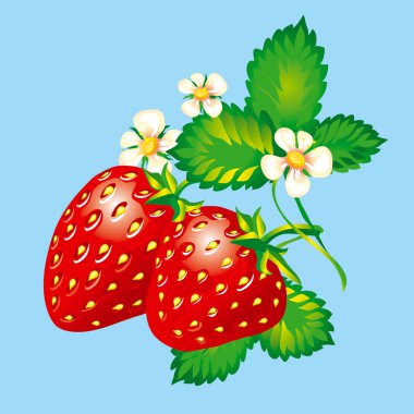 Strawberries clipart