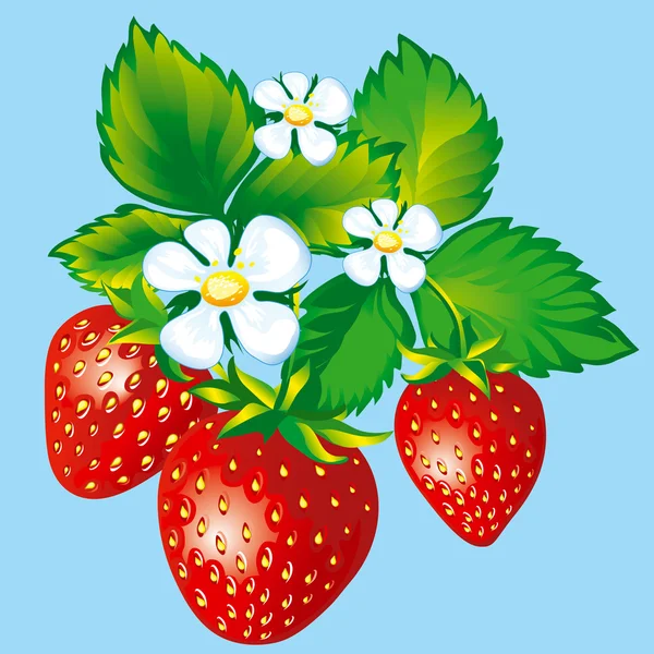 Aardbeien — Stockvector