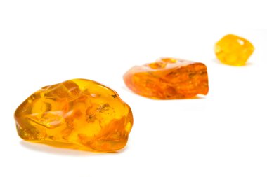 altmış milyon yaşındaki Baltık amber