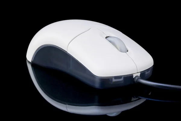 stock image Computer Mouse