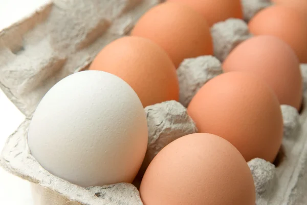 stock image Fresh Eggs In A Carton