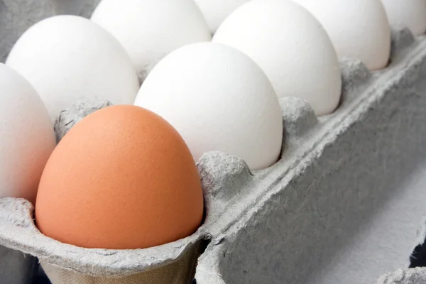 Stock image Fresh Eggs In A Carton