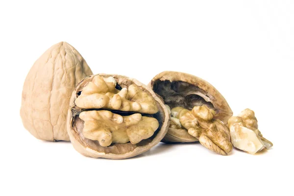 stock image Fresh Walnuts