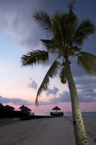 stock image Tropical Beach Evening